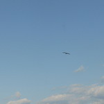 コーヒーハウス ショコラ - 