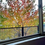 オクシモロン - 