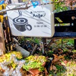 ハカノウエカフェ Ange - 