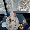 天空LOUNGE TOP of TREE - 