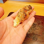 天ぷら たけうち - カマスの炙りの鮨