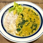 カレー食堂カタルカ - 