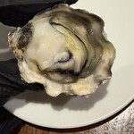 Seafood bar Ermitage - 