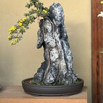 大仙公園 日本庭園 - 