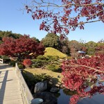 大仙公園 日本庭園 - 