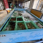 海 番屋 フジマル - 