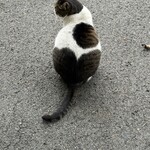 こころのおやど 自在荘 - 