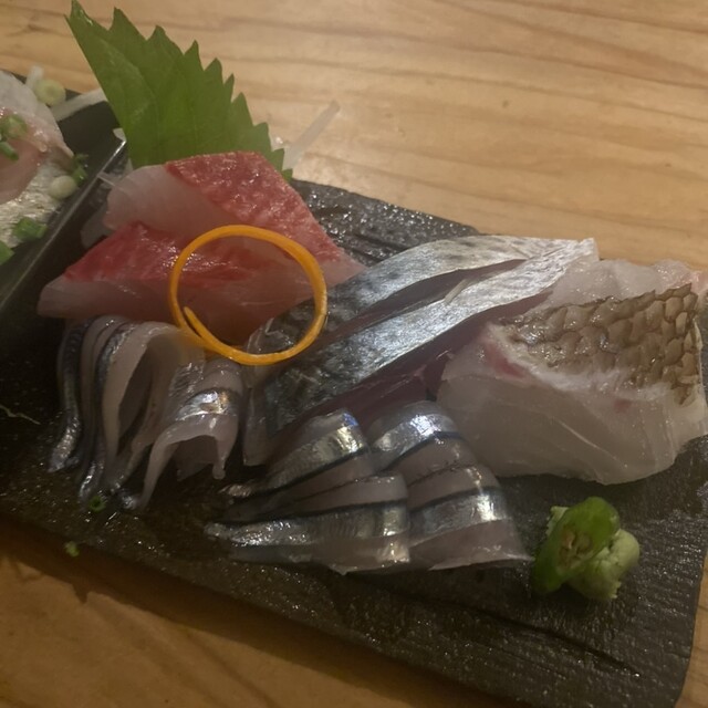 こんねこん concombre（コンコンブル）2023福兎 ねこずきん 三味線うさぎ