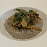 シャントレル - ザ・シャントレル