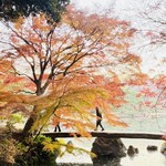 トラットリア マトゥーロ - 