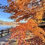 みわ屋 - 恵那峡の紅葉！