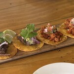 TATA - タコス スアデーロ、チョリソとフレッシュサルサ　