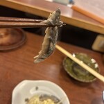 どぜう・四季料理 やぶや - 