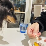 Salon de biogance cafe - 