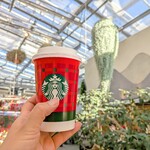 スターバックスコーヒー - ドリンク写真: