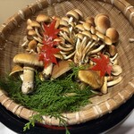 日本料理 きん魚 - 