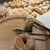 WeLoveDonut×TAKAGI COFFEE  - 料理写真: