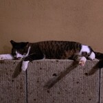 鹿教湯 三水館 - 