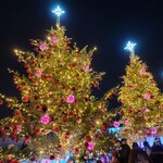 創作酒房 十六夜 - 