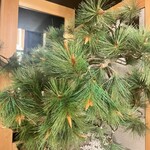 個室焼鳥 あか峯 - 