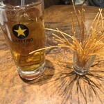 肉バル MEAT BOY N.Y  - 