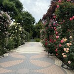 森のレストラン - 薔薇が綺麗❣️