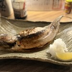 炉端焼きHOTARU - 