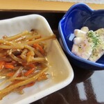 山の家 アララギ - きんぴらごぼうとマカロニサラダ