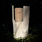 伊藤家のつぼ - 