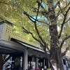 キハチ 青山本店