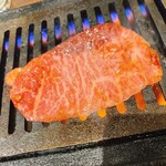 ホルモン人生タロちゃん - 