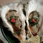柳鮨 - 生牡蠣