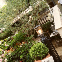 表参道バンブー - 