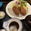 堀うち - ヒレカツ定食の量少なめ。レモンもたっぷり