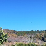 まつが - 澄み切った青空♪