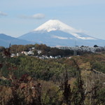 ビブラ ビブレ - 