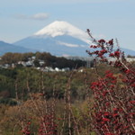 ビブラ ビブレ - 