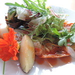 ビブラ ビブレ - 