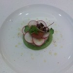 レーヌ デ プレ - 海の幸のタルタル　アヴォガドのクリーム