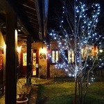 オークウッド - 