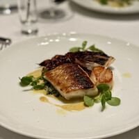 THE COSMOPOLITAN GRILL BAR TERRACE - 