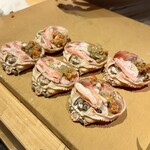 新日本料理おぶね - 