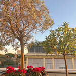 SETTIMO ROMAN CUISINE ANDTERRACE - 西陽が差すテラス＠４pm