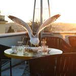 SETTIMO ROMAN CUISINE ANDTERRACE - 塩味お摘みをついばみます