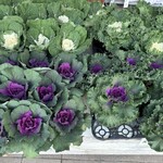 舞ロードIC千代田 - 