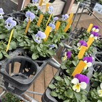 舞ロードIC千代田 - 