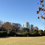 srecette - 都会のオアシス的な公園