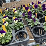 舞ロードIC千代田 - 