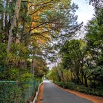 徳川町 ぶた福 - 小幡緑地