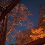 小瀬温泉ホテル - 